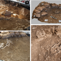 Göbekli Tepe sepolture: scheletro di giovane donna rannicchiato sul fianco sinistro accanto al Recinto A